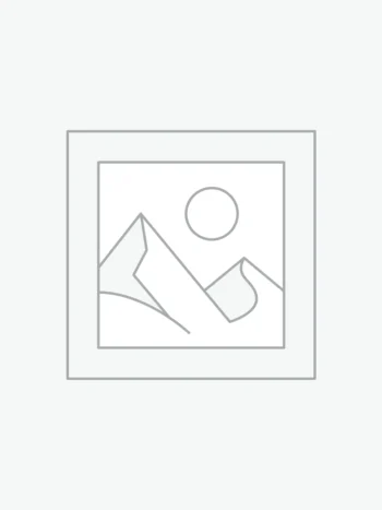 عنصر نائب Placeholder